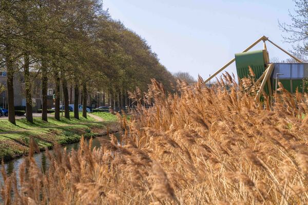 mei25 Jeroen_Stahlecker_Floriadepark