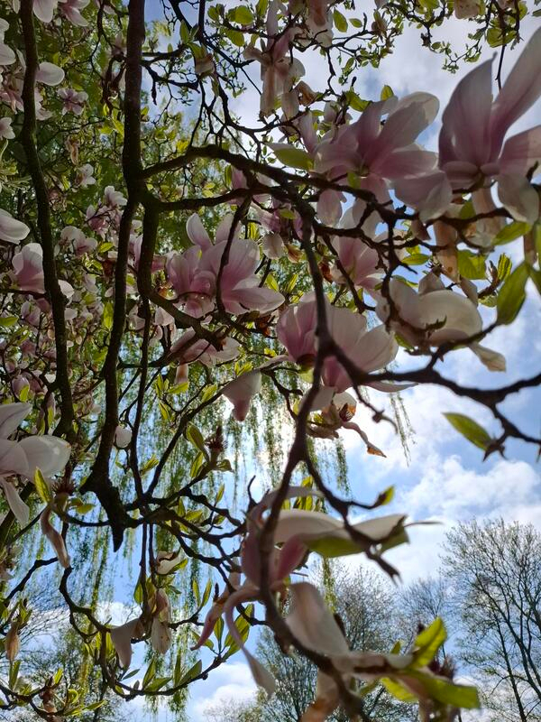 wmei25 Nadine_de_Keijzer