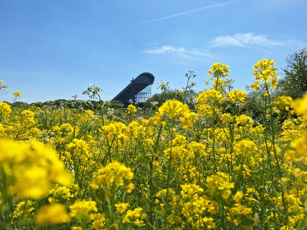 wmei25 Wim_Pluimert_Buytenpark