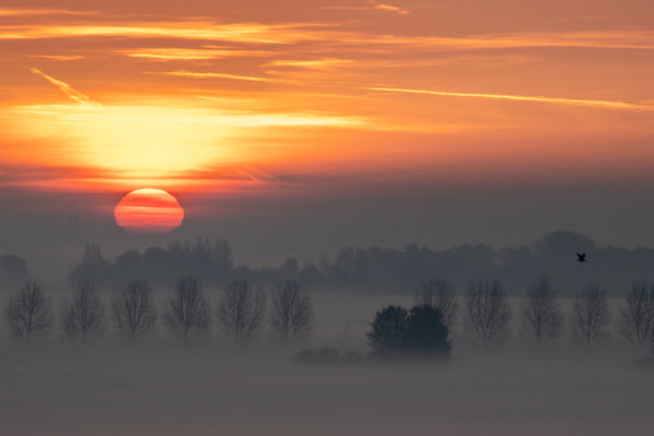 zonsopkomst in het Buytenpark