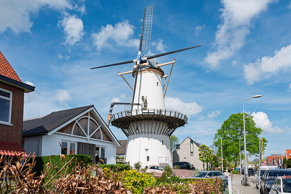 54469155295 5b3615cddd c