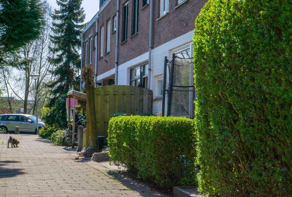 Ruysdaellaan Jeroen Stahlecker 2 van 3