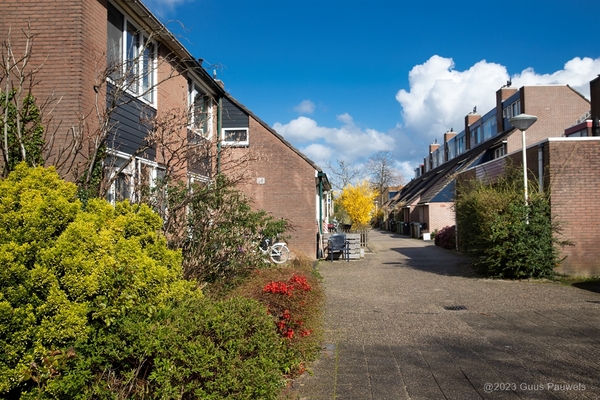 candidaschouw zoetermeer 003