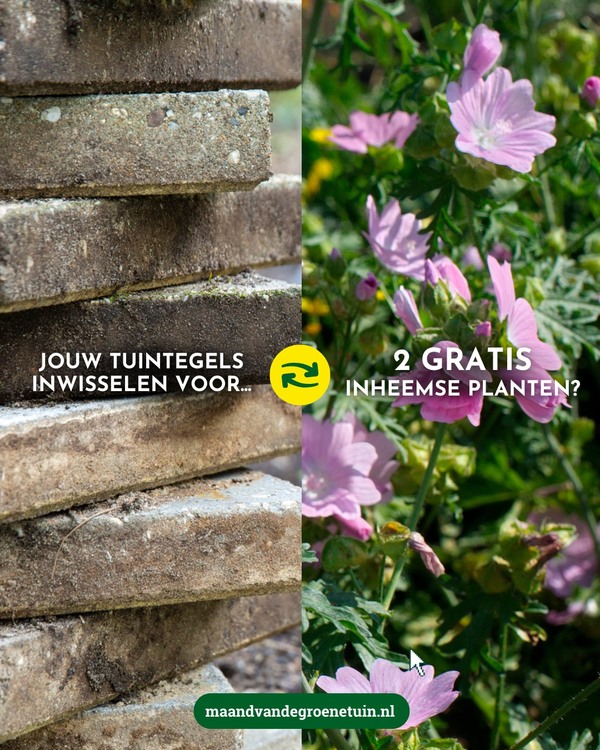 tegelactie Maand van de groene tuin