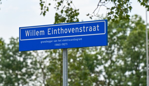 Willem_Einthovenstraat