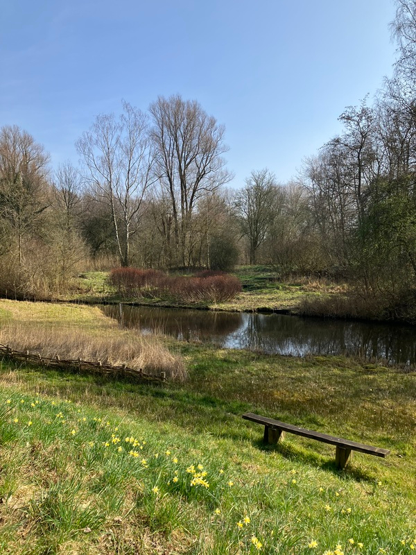 apr25 Cok_van_Aalst_Natuurtuin_Westerpark