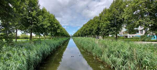 apr25 miro_rokkeveen