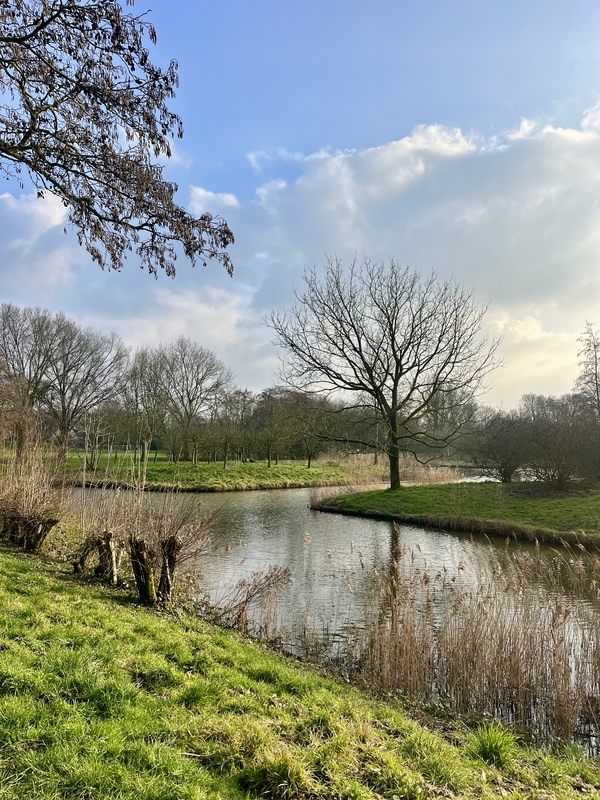 mrt25 Irma_Mensink_Wijdse_Weide_Seghwaert