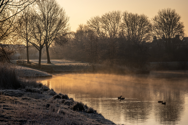 wapr25 P._Nicolaas_Wijdse_Weide