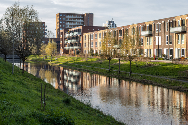 wmrt25 p._Nicolaas_Palenstein