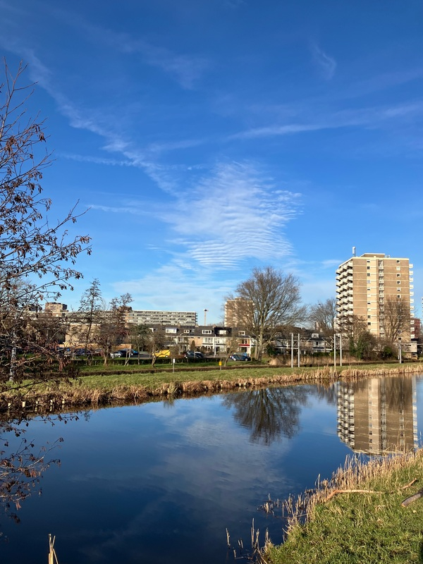 feb25 cokv_aalst_Meerzicht