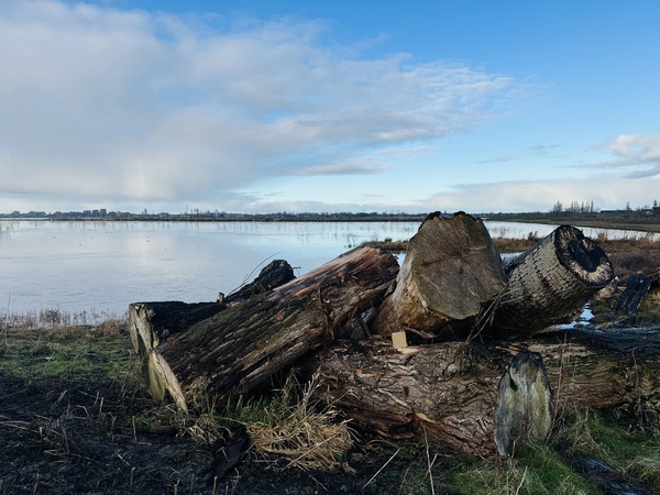 wfeb25 Jos_van_Zon_N3MP_met_laagje_ijs