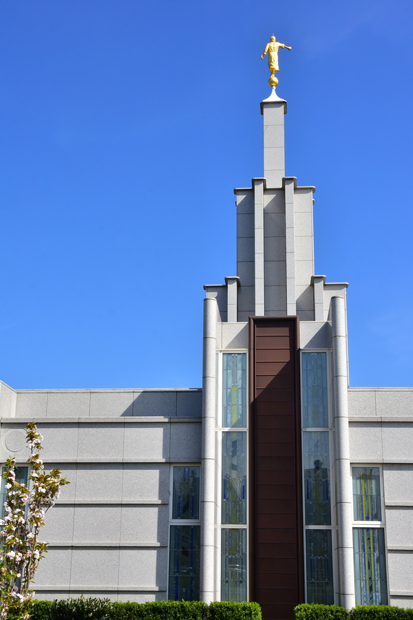 dp mormonentempel 2020 copy