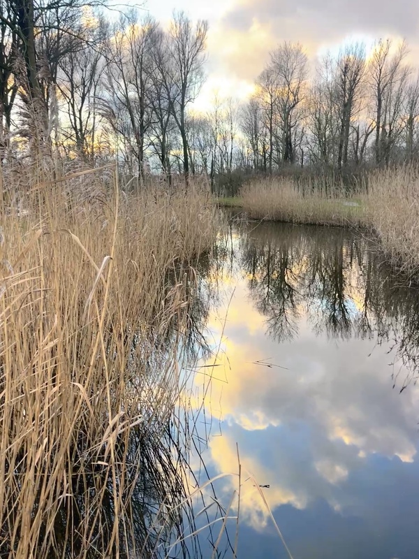 jan25 irma_Mensink_Noord-Aa