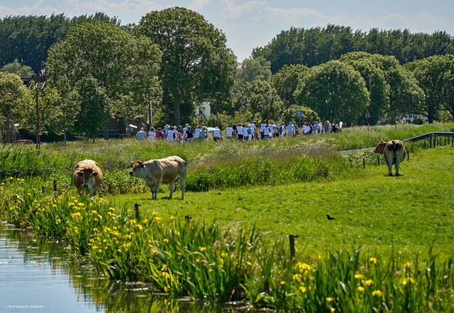 58rolstoelvierdaagse 1e dag bij vivaldi aangepast 54515290374 o