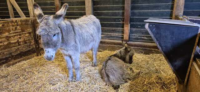 Afbeelding van WhatsApp op 2025 02 02 om 15.42.14 b20b6d5e