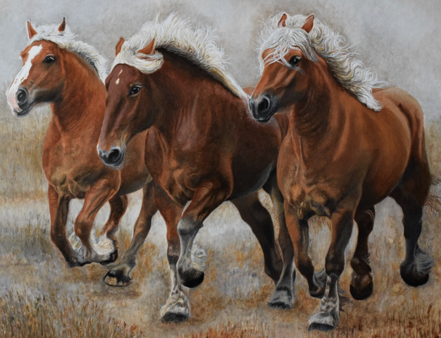 Gironde Eliott First