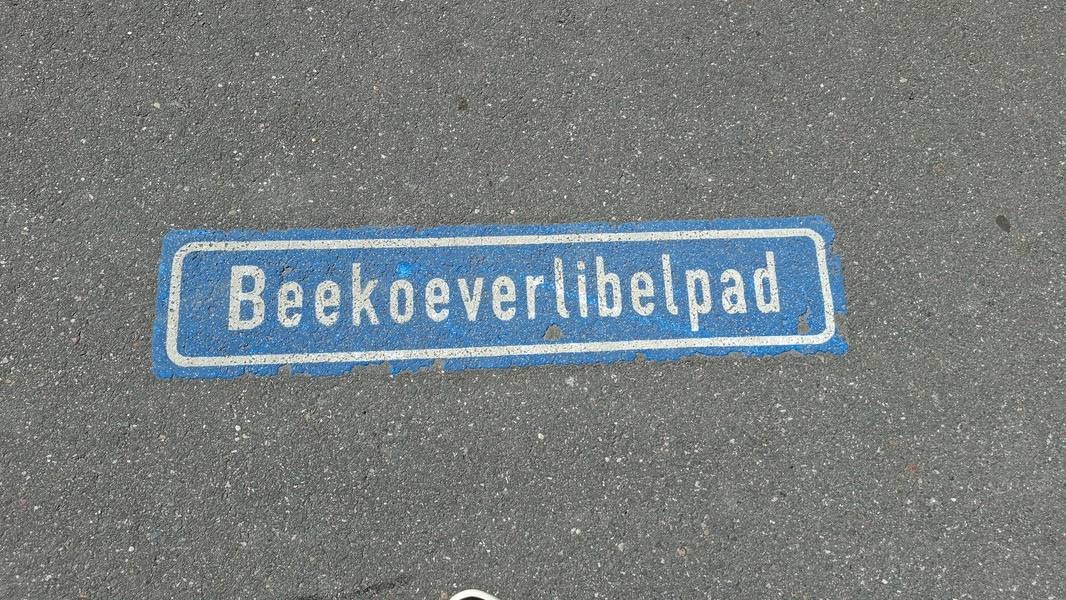 Beekoeverlibelpad4 copy