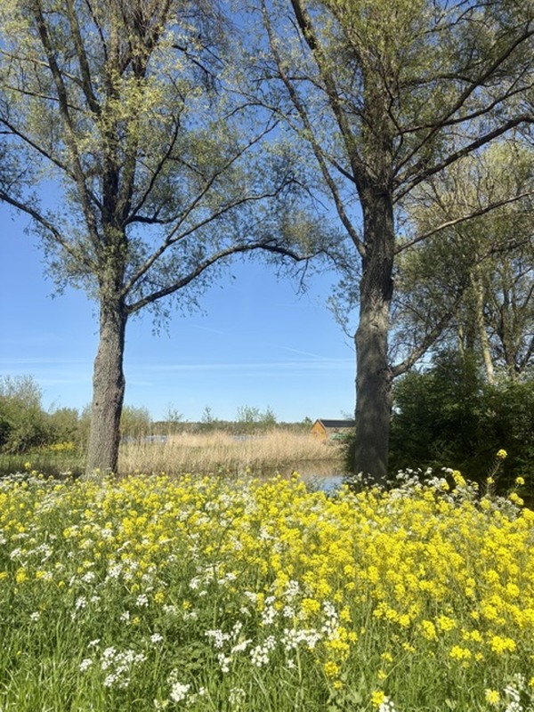 jun26 Irma_Mensink_Het_Lange_Land_De_Leyens