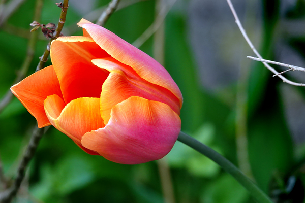 DSC01836a w