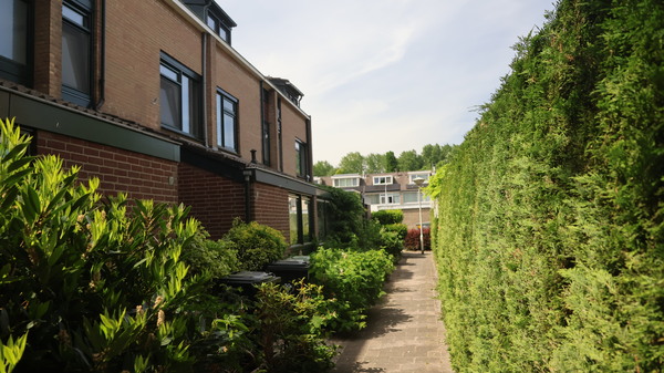 IMG 3672