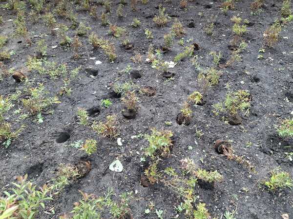 Vernieling meerzicht2 m Buhac