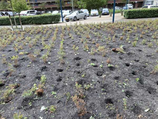 Vernieling meerzicht3 m Buhac
