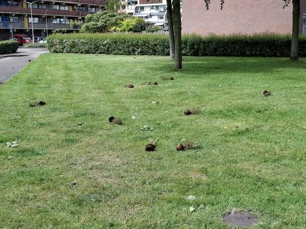 Vernieling meerzicht5 m Buhac