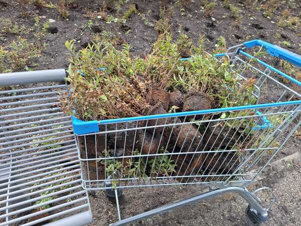 Vernieling meerzicht m Buhac