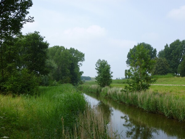 Buytenpark 2014 1