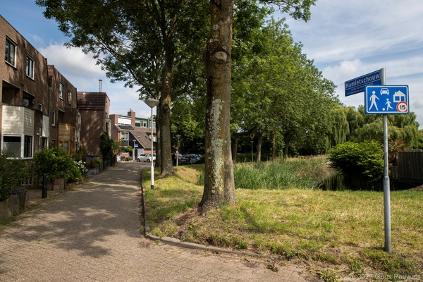 hamletschouw 003