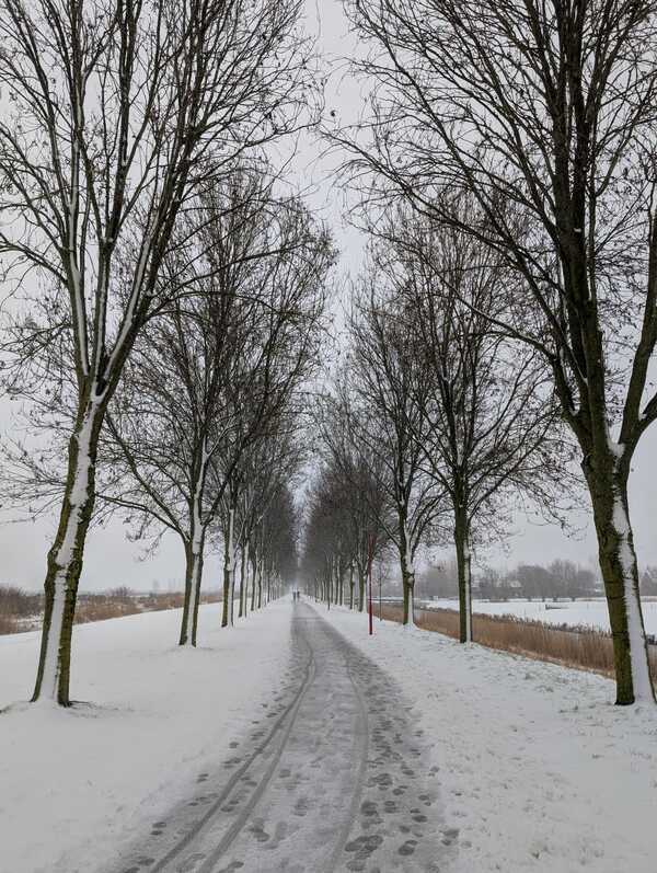 wfeb26 P Yvonne_Roels_Vestingpad