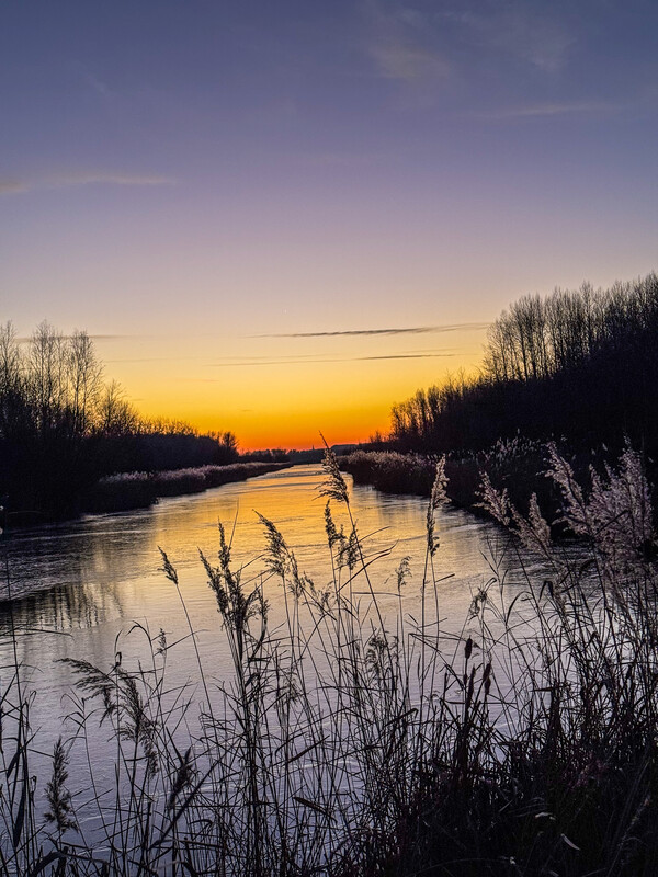 jan26 Jolanda Elderbroek