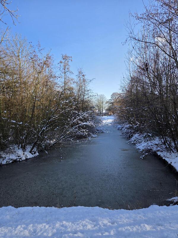 jan26 Ellis_vd_Meulen_wijdse_weide