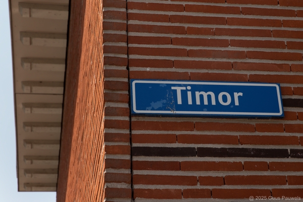 timor 001