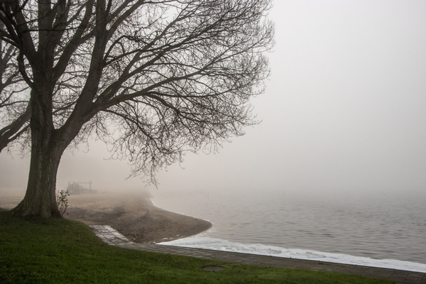 wjan26 P_Nicolaas_Noordhove