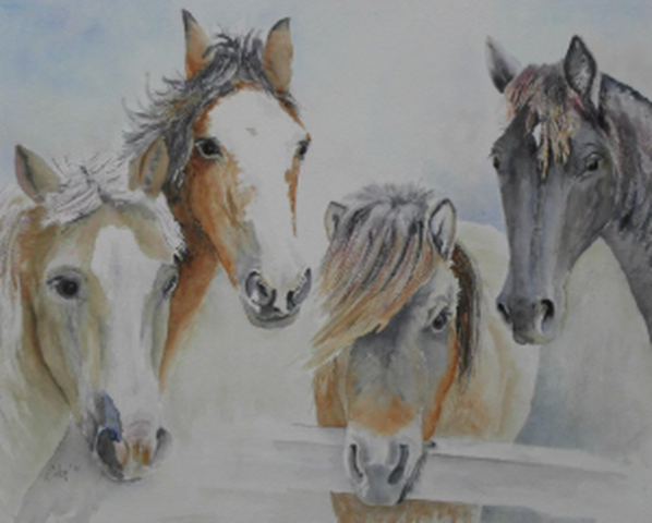 Paarden