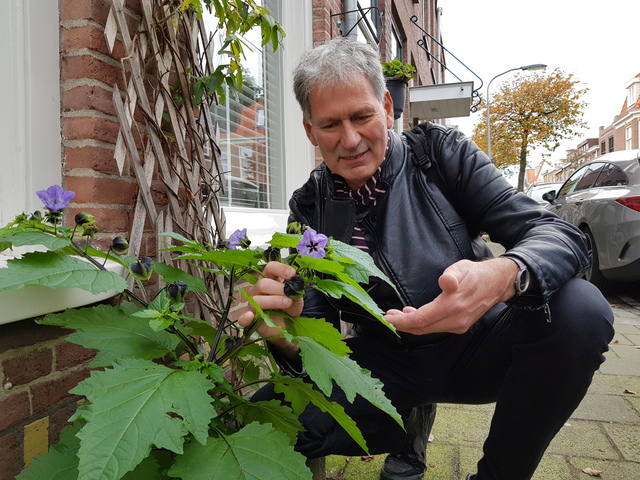 Ton Denters met Zegekruid