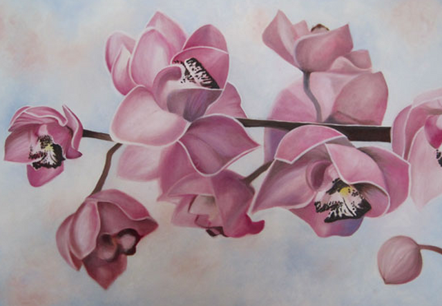 orchidee