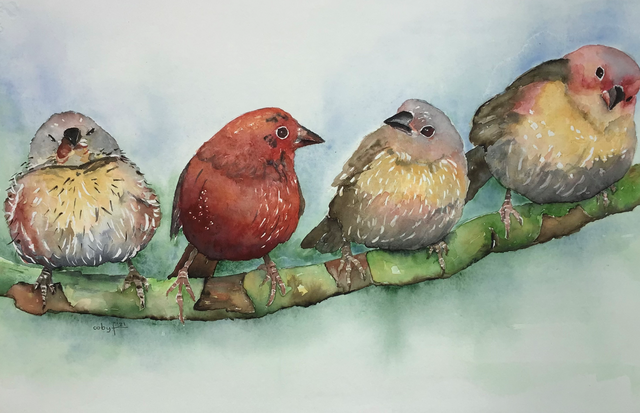 vogels2