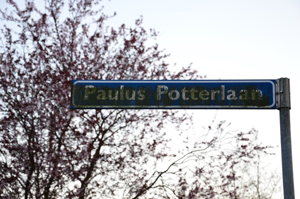 p potterlaan