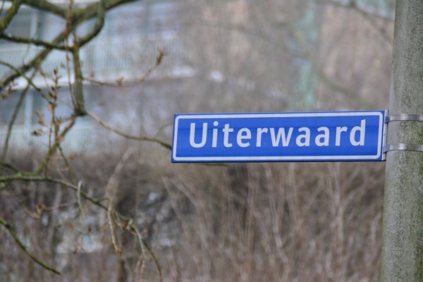 Uiterwaard