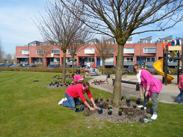 adoptiegroen pelschans